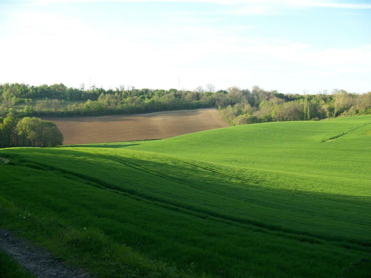 Loustalneou Bed & Breakfast Saint-Pierre-de-Clairac Eksteriør bilde